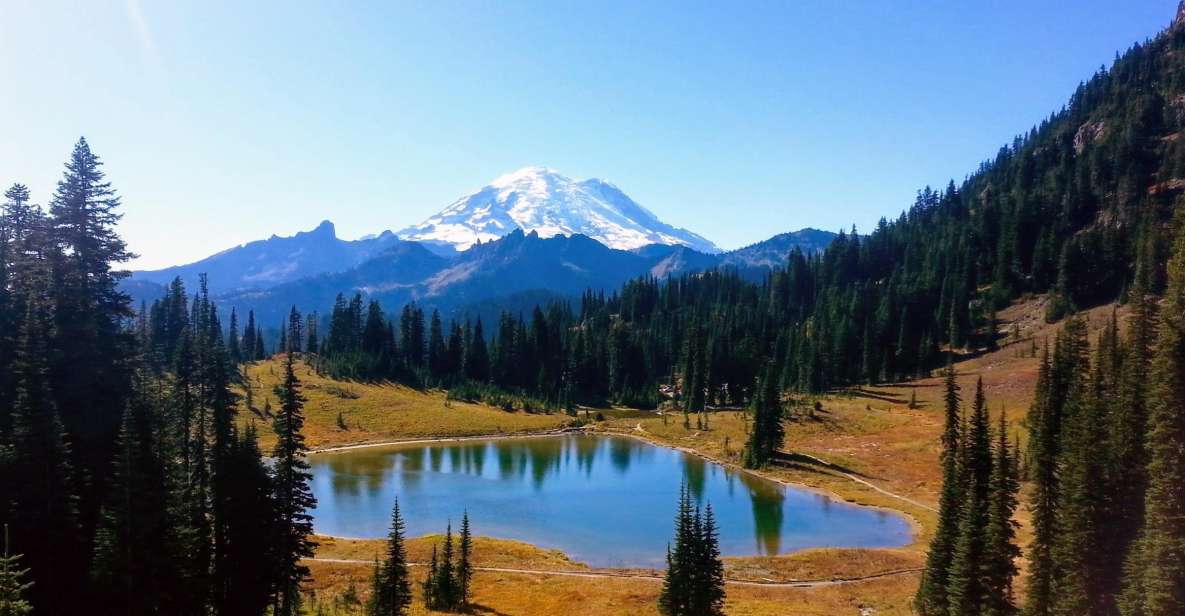 Seattle All-Inclusive: Hike Mt. Rainier and Wine Tasting - Additional Information