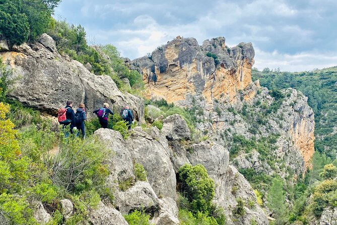 See a 2,000-Year-Old Roman Viaduct: Private Tour From Valencia - Common questions