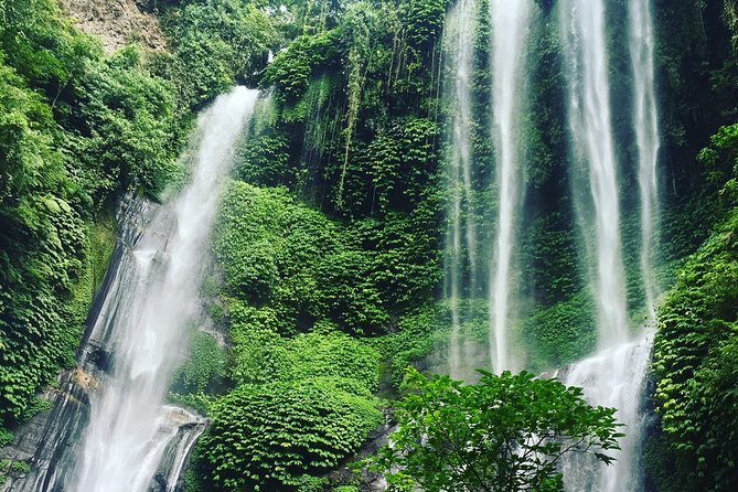 Sekumpul and Banyumala Waterfalls Hiking Tour (Private & All-Inclusive ) - Feedback on Tour Guides Expertise