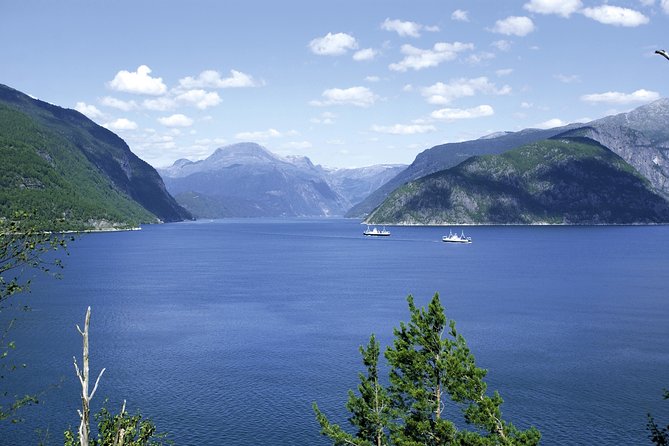 Self-Guided 22-Hour Round Trip From Oslo To Sognefjord With Flåm Railway - Logistics and Assistance