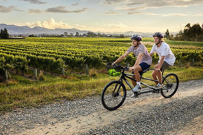 Self-Guided Biking Wine Tour (Full Day) in the Marlborough Region. - Bicycle Options