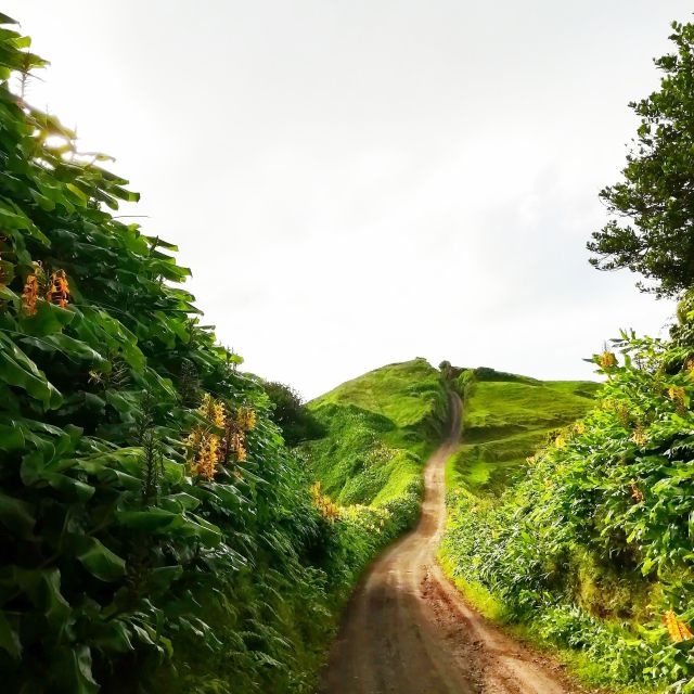 Sete Cidades - Nature Lovers - Private Jeep Tour - Pickup and Logistics