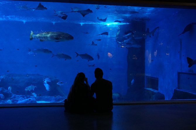 Seville Aquarium Admission Ticket - Customer Support and Contact Information