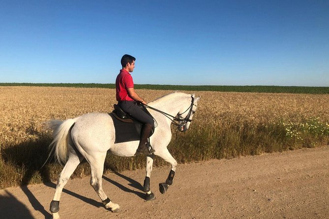 Seville Private Horseback Riding Tour (Mar ) - Cancellation Policy