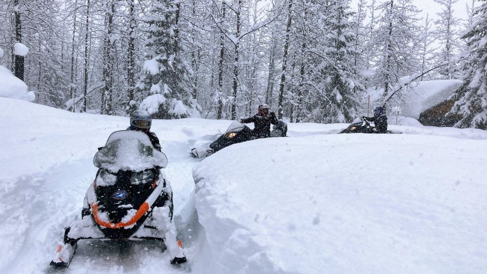 Seward: Kenai Fjords National Park Guided Snowmobiling Tour - Tour Inclusions and Snowmobiling Experience