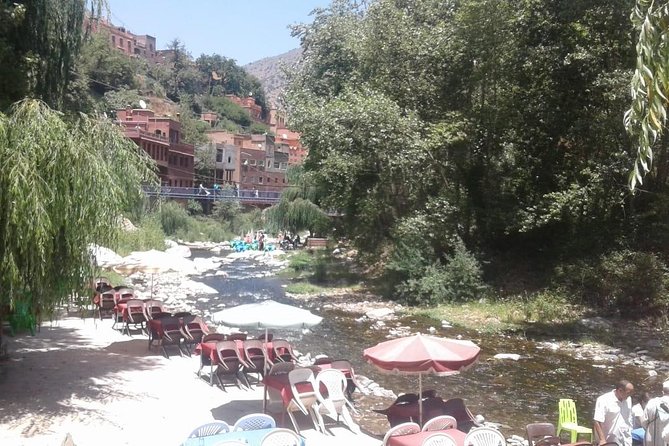 Shared Day Trip to Ourika Valley From Marrakech - Logistics and Timing