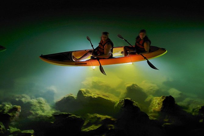 Sharkeys LED Illuminated Night Tour on Glass Bottom Kayaks in St. Pete Beach - Viator Support and Resources