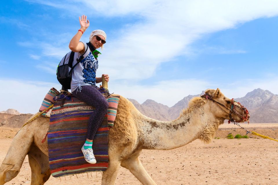 Sharm: ATV Safari, Horse Ride & Camel Ride With Breakfast - Customer Testimonials and Reviews