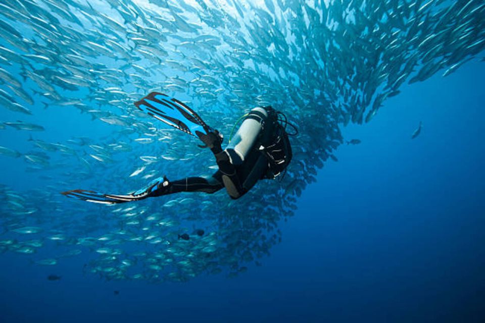 Sharm El Sheikh: 4-Day PADI Open Water Diver Course - Certification Benefits