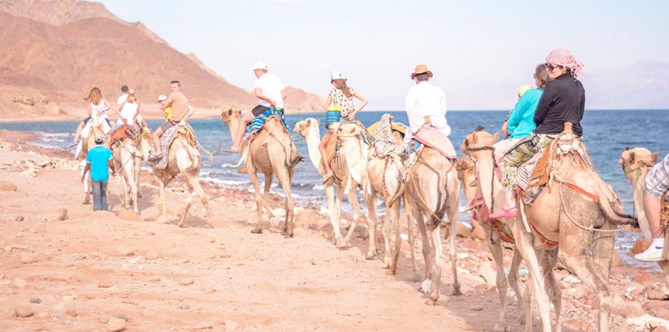 Sharm El Sheikh Camel Riding Safari Tour - Additional Details