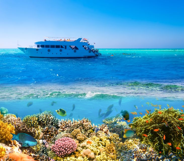 Sharm El Sheikh: Luxury Boat Cruise With Snorkeling & Lunch - Customer Experience and Recommendations