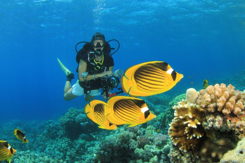 Sharm El Sheikh: Ras Mohamed, White Island, Snorkel & Diving - Language Options