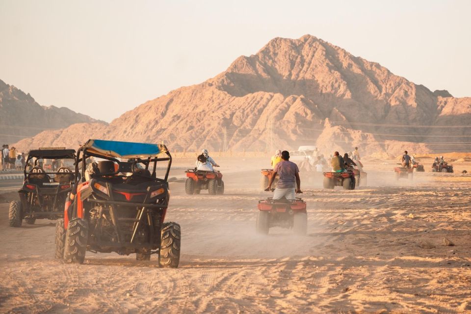 Sharm El Sheikh: Sunrise Buggy Adventure and Bedouin Tent - Return Trip and Final Impressions