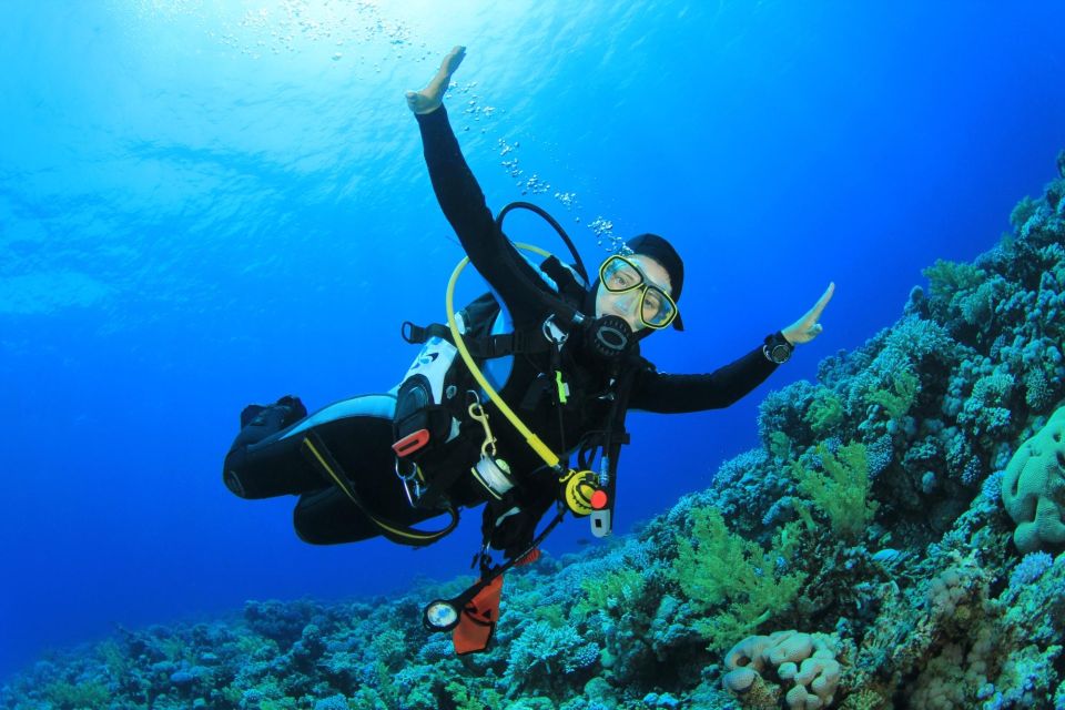 Sharm El Sheikh: Tiran Island Cruise Tour With Intro Dive - Product Details