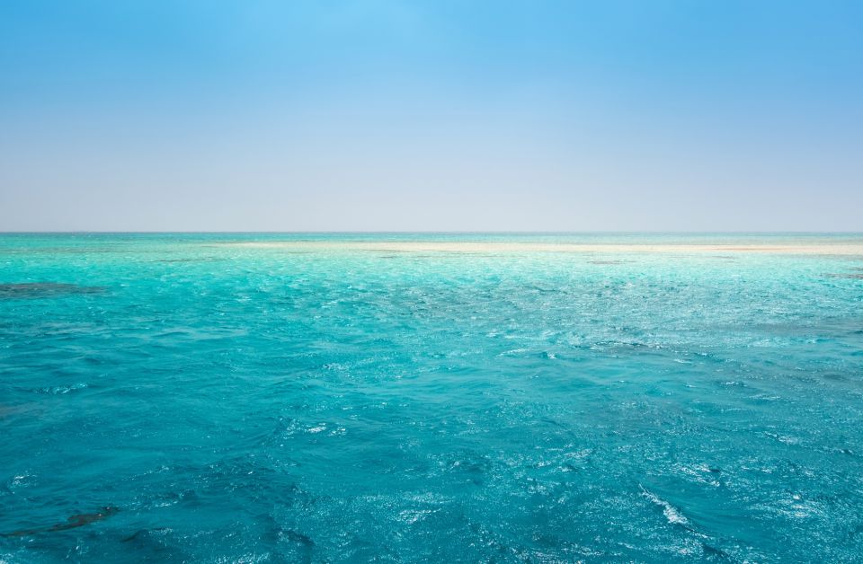 Sharm El Sheikh: White Island and Ras Mohamed Sailing Trip - Customer Reviews and Ratings