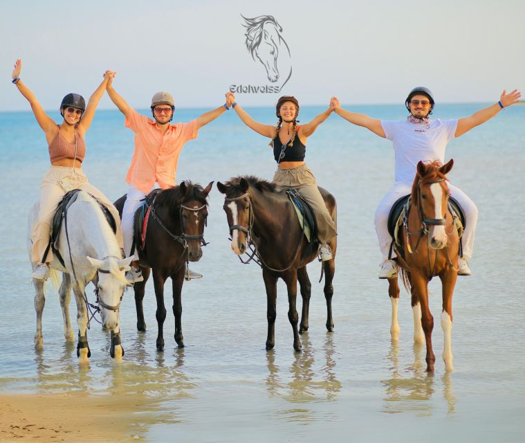 Sharm El Shiekh: Beach and Desert Horse Riding Tour - Additional Information