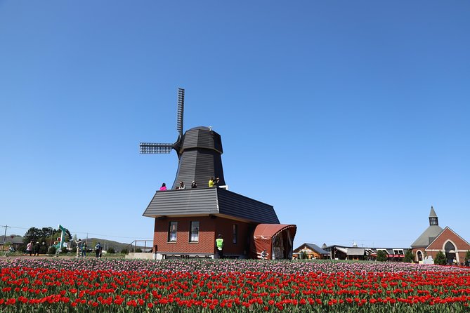 [Shibazakura / Tulip] Going by Private Car, Shibazakura Takinoue Park and Kamiyubetsu Tulip Park - Parking and Accessibility