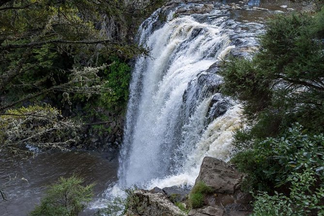 Shore Excursion To Historic Kerikeri Including Lunch - Booking and Logistics Information