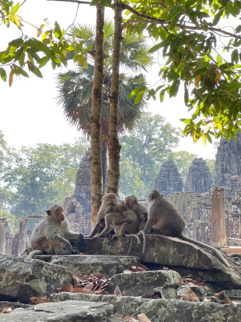 Siem Reap: Angkor Wat Private Full Day Tour - Local Tour Guide