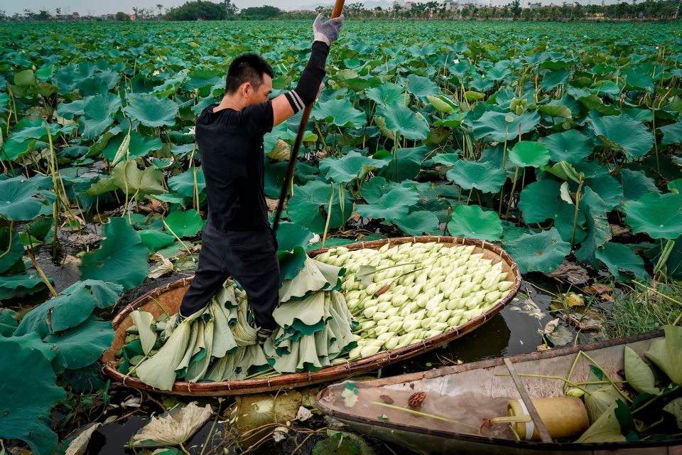 Siem Reap: Countryside With City Tour - by Tuktuk Only - Additional Information