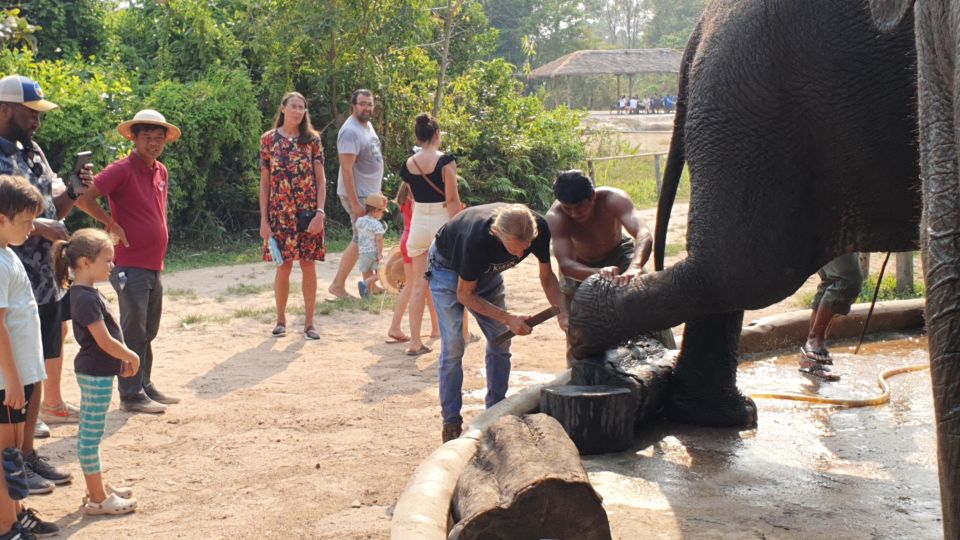 Siem Reap: Small Group Tour of Kulen Elephant Forest - Customer Benefits