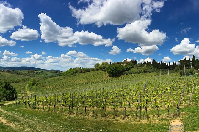 Siena: A Wine Tour and Tasting Experience - Cancellation Policy Details