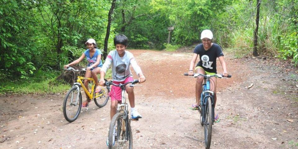 Sigiriya: All Inclusive-Village Cycling Tour! - Safety and Logistics