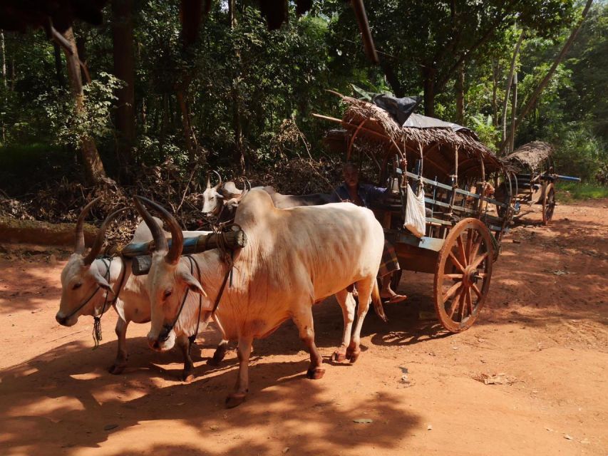 Sigiriya Day Tour Visit Sigiriya Rock Dambulla Cave Temple - Directions and Itinerary