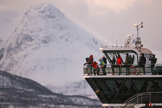 Silent Whale Watching - Whale Sightings Overview