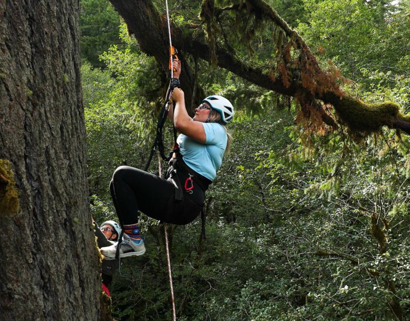 Silver Falls: Old-Growth Tree Climbing Adventure - Optional Battery Ascender
