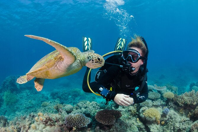 Silverswift Dive & Snorkel Great Barrier Reef Cruise From Cairns - Catering and Dietary Options