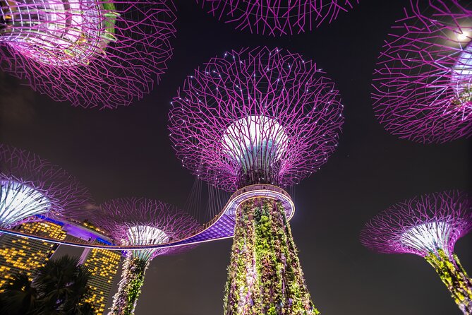 Singapore Gardens by the Bay Admission Skip-The-Line E-Ticket - Additional Services Available