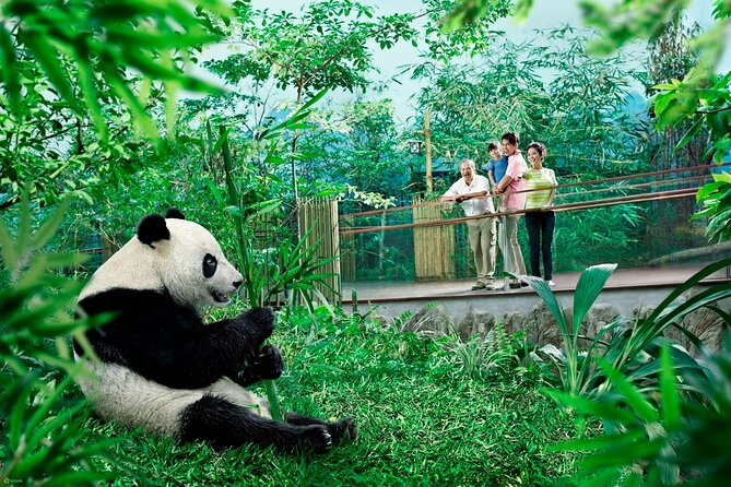 Singapore Zoo & Night Safari Day ( Tickets & Transfer ) - Reviews and Ratings Analysis