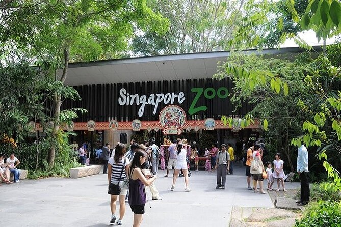 Singapore Zoo - Common questions