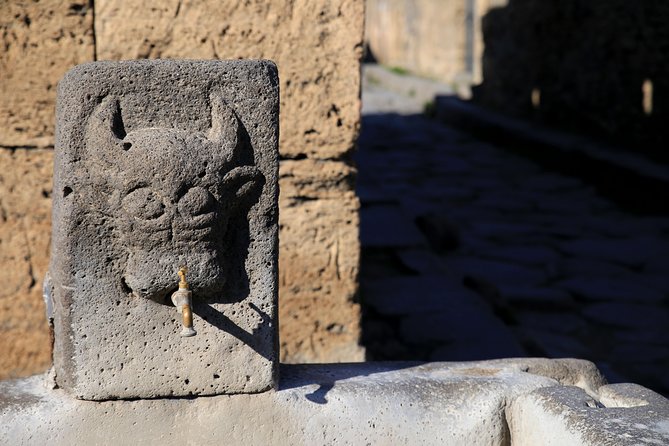 Skip-The-Line Half-Day Private Tour Ancient Pompeii Highlights With Native Guide - Weather Contingency and Refunds