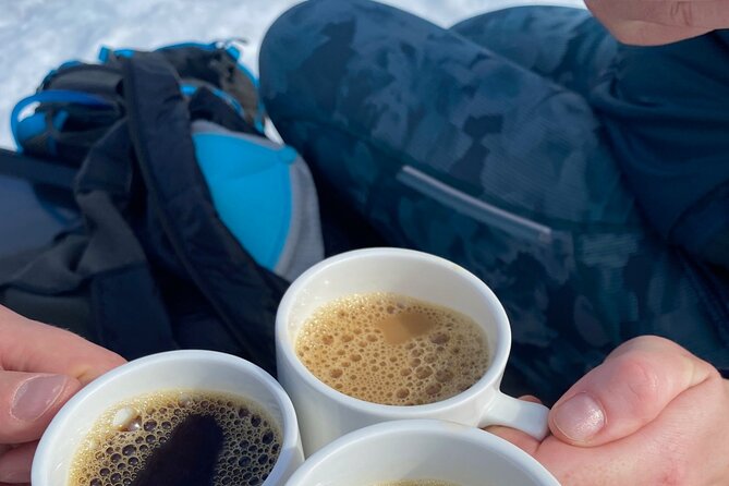 Skogshytte' Norwegian Winter Cabin Destination Hike - Need Help? Contact Viator Support