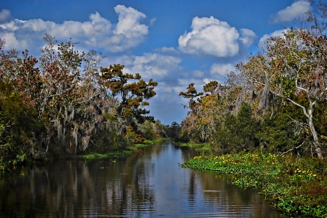 Small-Group Bayou Airboat Ride With Transport From New Orleans - Guide Performance Feedback