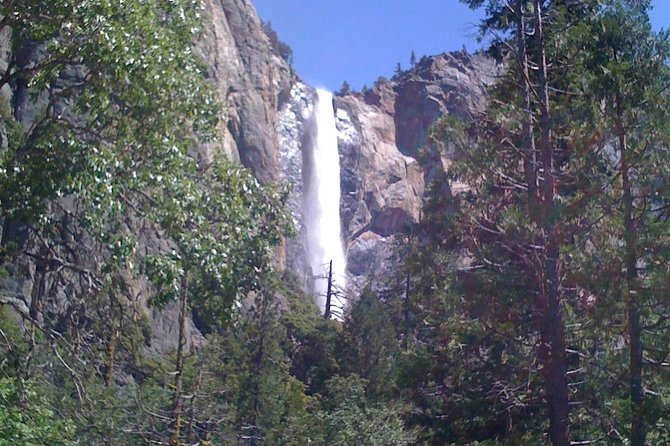 Small-Group Day Trip to Yosemite From Lake Tahoe - Trip Itinerary and Activities
