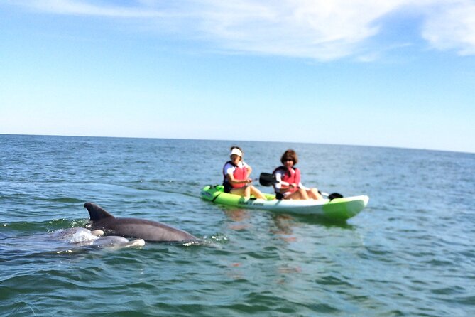 Small Group Dolphin Kayak Eco-Tour - Cancellation Policy