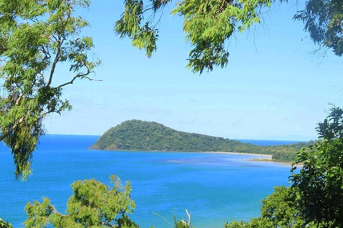 Small Group Full Day Daintree Tour From Port Douglas - Pickup Points and Locations