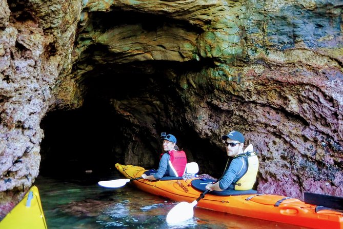 Small Group Guided Sea Kayaking in Akaroa Marine Reserve - Common questions