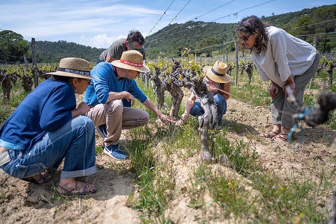 Small-Group Half-Day Languedoc Pic Saint-Loup Wine Tour From Montpellier - Directions