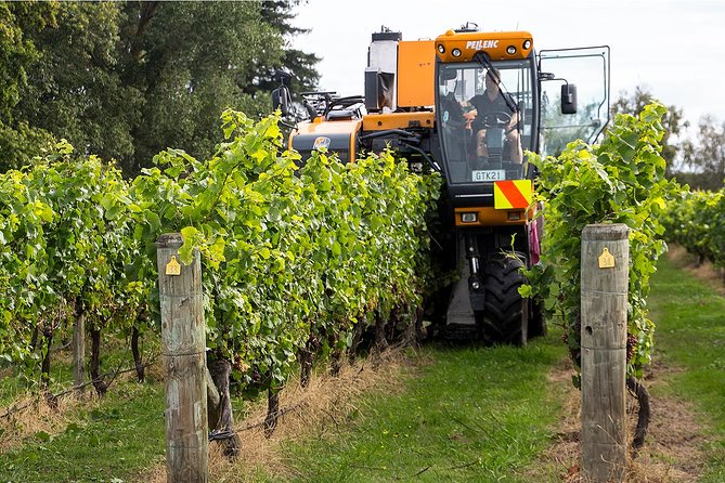 Small Group Half-Day Napier Wine Experience Tour - Guides Expertise and Winery Selection