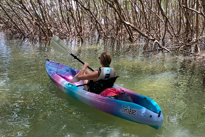 Small Group Kayak Tour of the Shell Key Preserve - Meeting Logistics