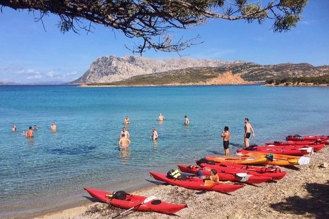 Small Group Kayak Tour With Snorkeling and Fruit - Common questions