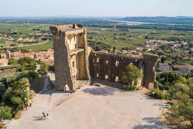 Small Group Marseille Shore Excursion : Avignon & Chateauneuf Du Pape Wine Tour - Guide Experience