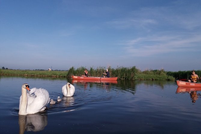 Small-Group Nature-Filled Canoeing Tour From Amsterdam (Mar ) - Weather Considerations