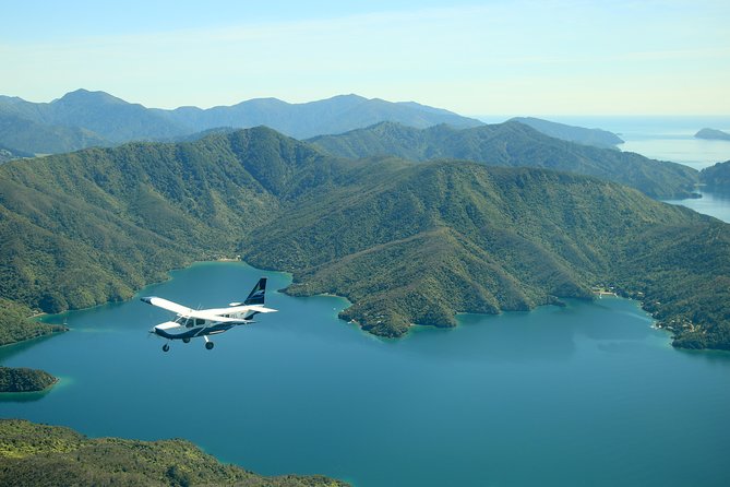 Small-Group Scenic Flight Over Marlborough Sounds From Picton (Mar ) - Landing Experience