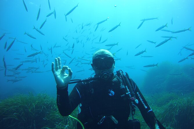 Small-Group Scuba Diving Eco Tour in the North of Menorca (Mar ) - Common questions