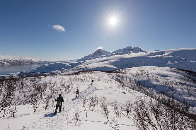 Small-Group Snowshoeing Tour From Tromso - Difficulty Level and Scenery